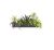 NATIVE OPHANGPLANTENBAK 100 CM ANTRACIET