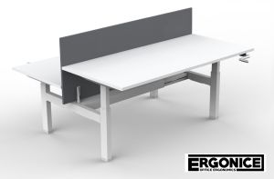 ERGONICE® PRIVACY PANEL DUO
