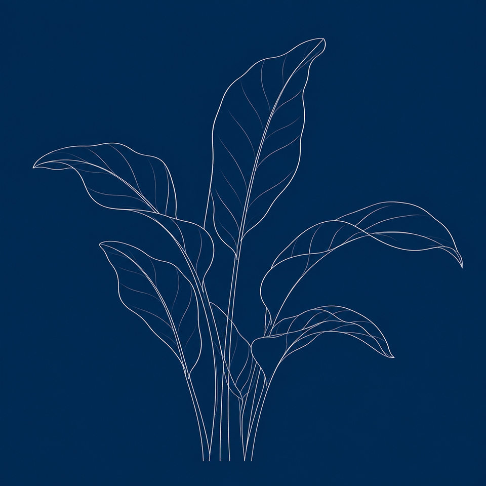 Schematische tekening Metalflowerbox